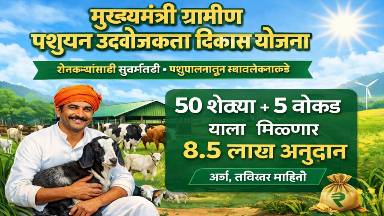 Goat Farming Subsidy Maharashtra 2026: शेळीपालन उद्योगासाठी सरकार देणार 8.50 लाख अनुदान